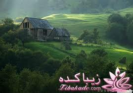 **پرواز بر فراز مزارع گلهای هاــــــــــــــند**